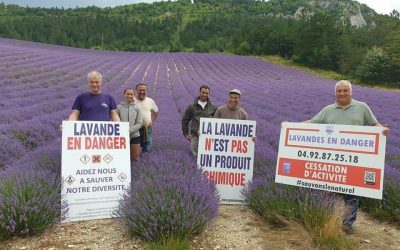Alain Aubanel et la Distillerie des 4 Vallées : « la lavande n’est pas un produit toxique ! »
