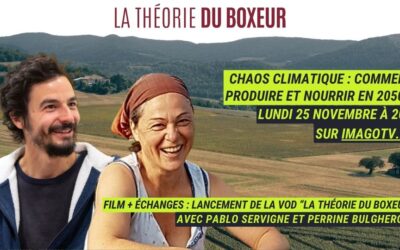 La théorie du Boxeur en VOD !