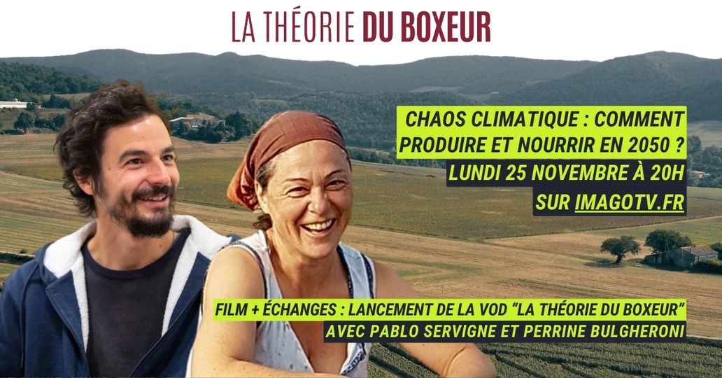 la théorie du boxeur en VOD