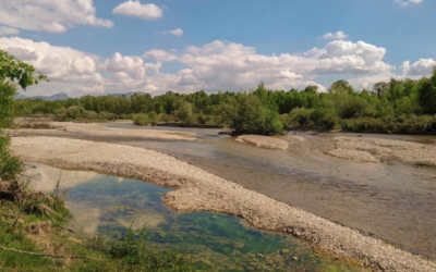 Nouvelle synthèse : « dépasser la seule valeur économique d’une rivière ».