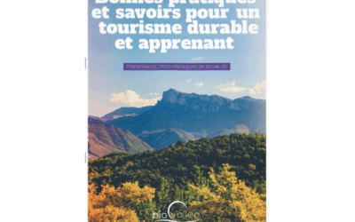 Guide des écohébergeurs :   la première édition est sortie !