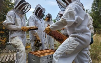 3 ans pour structurer un tourisme durable et apprenant en Biovallée